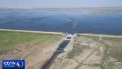 Decades of effort bring the Tarim River back to life