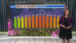 No rain, mild temperatures