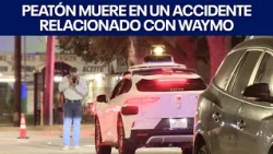 Pedestrian dies in crash involving Waymo | FOX 7 Austin