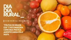 "Frutas do Brasil ESG" recognized by MAPA as good agricultural practice