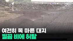 Still Thirsty Earth... Frustration Over Scant Rainfall / JIBS / Jeju / 08.02.2026