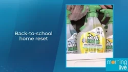 Back-to-school home reset