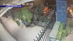 Nearly a dozen thefts at Denver garden center