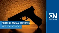 Expert asserts that individuals with firearm permits must be trained