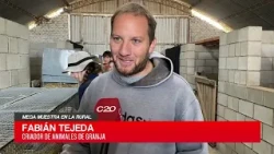 C20N FABIAN TEJEDA MEGA EXHIBITION AT LA RURAL