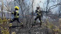 Against the "perfect wildfire": Madrid continues to fight the blaze