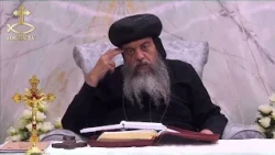 العظة الأسبوعية لنيافة الحبر الجليل الأنبا ثاؤفيلس - نوح البار