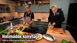 Halimádók konyhája: Süllő és afrikai harcsa mexikói hangulatban