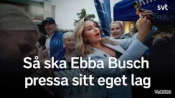 Busch-flörtandet inför valet: "Tidö är ett medel"
