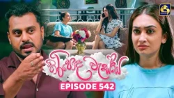 Hiripoda Wessa (හිරිපොද වැස්ස) | Episode 542 | 19th October 2026 | Swarnavahini TV