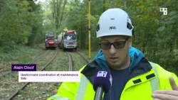Tempête : la Stib répare les dégâts sur la ligne de tram 44