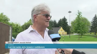 ČAPÍ PÁR NAŠEL SVŮJ DOMOV V OKŘÍŠKÁCH