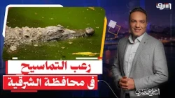 التماسيح ترعب الفلاحين فى محافظة " الشرقية " رغم مليارات تبطين الترع .. إيه الحكاية ؟