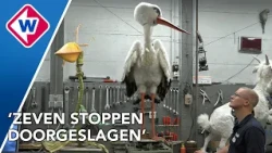 Elektronische poppenshow kost te veel onderhoud en stopt na 35 jaar