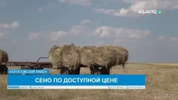 AFFORDABLE HAY