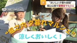 How about a "Delicious Sunset"? Summer-only market at Shiroyama Park