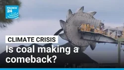 Countries turn to coal  to avoid shipping disruptions in the Strait of Hormuz • FRANCE 24 English