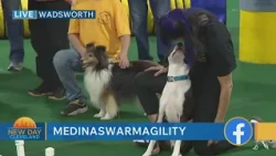 New Day Cleveland- Medina Swarm 2