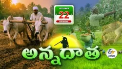 అన్నదాత | 22nd October 2026 | Annadata | Full Bulletin | ETV Telangana
