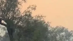 Zjarret në Fier dhe Himarë/ Rama: Situata nën kontroll, do të vlerësohen dëmet