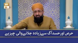 Hirs Aur Hasad Aag Se Zyada Jalane Wali Cheez Hai - Muti Muhammad Sohail Raza Amjadi