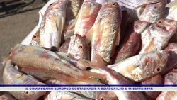 EUROPEAN COMMISSIONER COSTAS KADIS IN SCIACCA ON SEPTEMBER 10 AND 11