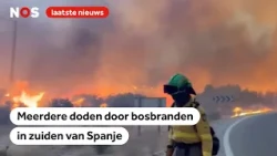 Brandweer bestrijdt grote bosbrand in het zuiden van Spanje