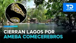 Six artificial lakes closed in Mérida due to 'brain-eating' amoeba presence
