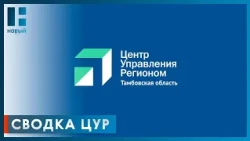 Более 1400 сообщений от жителей региона обработали сотрудники ЦУР Тамбовской области