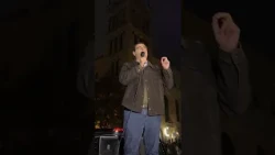 საქართველო ივანიშვილის გარეშე - პოლიტიკოსების  მიმართვები აქციის მონაწილეებს