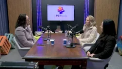 Podcast PET-Saúde Equidade UCS