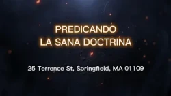 IMPACTO TV HORARIOS DE CULTOS EN VIVO