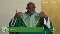 Saturday Evening Mass Homily - The Twelfth Sunday in Ordinary Time - 20th June 2026