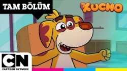 KUCHO | Patim Kontrolden Çıktı | TAM BÖLÜM | @cartoonnetworkturkiye