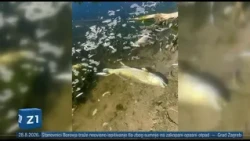 ZIP - 28.8.2026. - SREDIŠNJE VIJESTI Z1 TELEVIZIJE