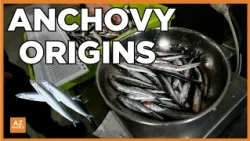 How El Niño's name derives from Peruvian anchovy fishermen