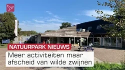 De wilde zwijnen verdwijnen nog dit jaar uit het Natuurpark in Lelystad