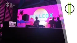Willcox a SZIN-en