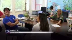 Infernetto: Helping Students with Learning Disabilities. The DSA Study Maps Project