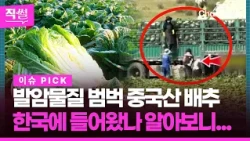 Laced with Carcinogens! Formaldehyde-Contaminated Chinese Cabbage💥😱… Investigating Whether It Rea...