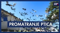 Ptice kao novi turistički adut Zadra i Nina