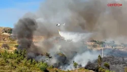 Wildfire in Mangualde mobilizes over 200 personnel and shuts down Beira Alta railway line