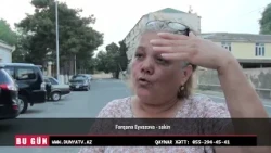 Yüzlərlə ağ vağ Neftçala şəhərinə hücum çəkdi: Sakinlər təşvişdə