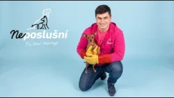 Malý ratlík, veľký problém | Neposlušní