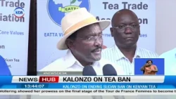 Kalonzo urges swift resolution of Sudan to lift tea ban on Kenya