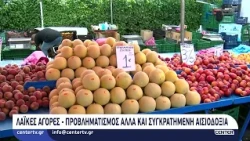 Λαϊκές αγορές: Προβληματισμός αλλά και συγκρατημένη αισιοδοξία