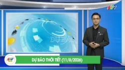 WEATHER FORECAST (8/11/2026)