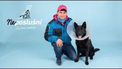 Folly si naháňa vlastný chvost. Pomôže psí kouč Feri? | Neposlušní