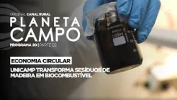 Unicamp transforms wood waste into biofuel | Planeta Campo - Ep. 20 part 2