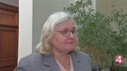 Jeanne Vinal to run for Erie County Democratic Committee chair